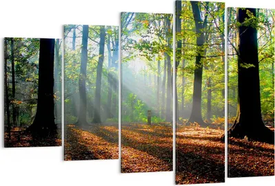 Produktbild von Bild auf Leinwand - Leinwandbild - Wald Blätter Sonne - 150x100cm - Wand Bild - Wanddeko - Leinwanddruck - Bilder - Kunstdruck - Wanddekoration - Leinwand bilder - Wandkunst - EG150x100-0136