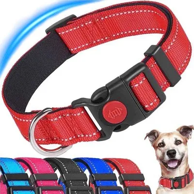 Produktbild von Ibenzoa® Hundehalsband – verstellbares, waschbares Nylon mit Neoprenpolster, Sicherheits-Schnellverschluss & korrosionsbeständigem Metallring, für kleine bis mittelgroße Hunde