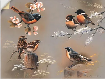 Produktbild von ARTland Wandbild, selbstklebend Vogel Komposition Größe: 60x45 cm