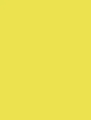 Produktbild von Folia Ton-Papier 50x70 130g zitronengelb