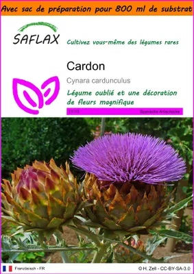 Image de SAFLAX Garden in the bag - Cardon - 50 graines - Cynara