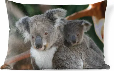 Produktbild von MuchoWow® Outdoor Kissen - Koalas - Vater - Kind - Jungen - Mädchen - 60x40 cm - Wetterfest - Lounge Kissen - Zierkissen - Kissen für Innenräume