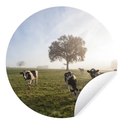 Produktbild von MuchoWow® Runde Wandtattoo - Wandsticker Tapete Aufkleber Kühe - Licht - Nebel Ø 50 cm Selbstklebend und Repositionierbar - Wandaufkleber - Kreis - Wand Kreis - Wand Bild - Foto Tapete - Selbstklebende - Wohnzimmerdekoration - Wand Dekoration - Kinderzimmer