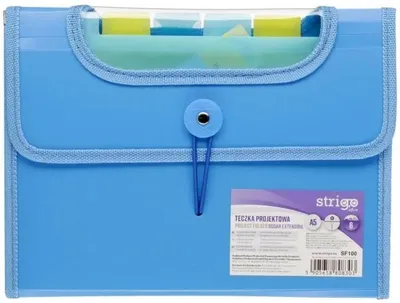 Produktbild von A5-Ordner „Vfile“ mit 6 Trennblättern, blau, STRIGO