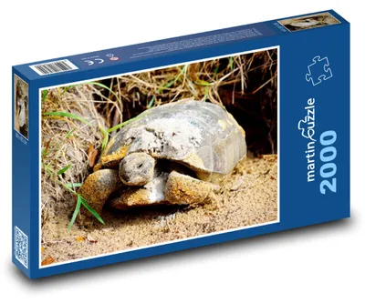 Obrázek produktu pro Puzzle 2000 Želva v Přírodě - martinpuzzle
