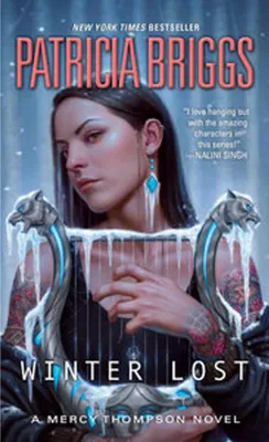 Produktbild von Winter Lost