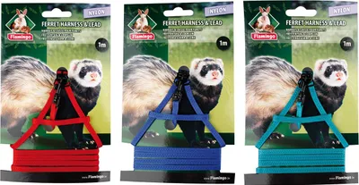 Image de Harnais et laisse pour furet Flamingo