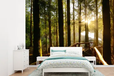 Produktbild von Fotobehang - Tropischer Wald - Azoren - 330 x 240 cm