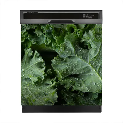 Produktbild von Magnete Dekorative 60x60 cm Küche Magnetmatte Spülmaschine - Salat Blätter