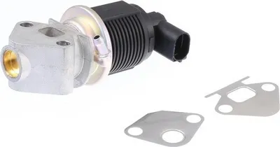 Produktbild von TRISCAN 8813 29009 AGR-Ventil mit Dichtungen für VW Golf IV Schrägheck (1J1) Abgasrückführungsventil
