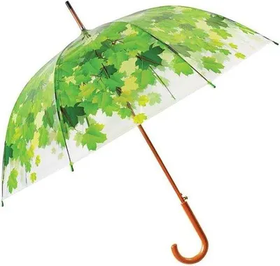 Produktbild von Transparenter Regenschirm der Marke Boomtop für Schutz vor Regen