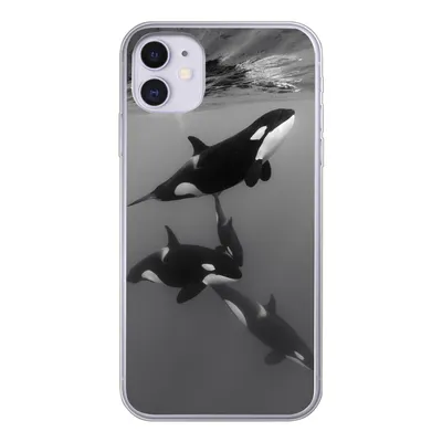 Produktbild von MuchoWow® Handyhülle Schutzhülle Hülle für iPhone 11 Orca - Wasser - Schwarz - Weiß Silikon Softcase Handy Hülle - Handytasche