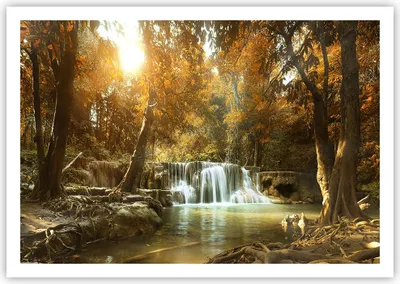 Produktbild von Poster - Poster ohne Rahmen - Park Wasserfall Wasser - 100x70 cm - Wand Bild - Wanddeko - Wandbilder - Kunstposter - Wandposter - Bilder - Kunstdruck - Wanddekoration - Wandbild - P2XAA100x70-3789