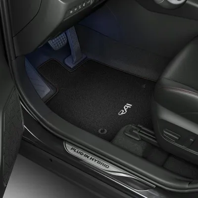 Image de TOYOTA Rav4 Tapis de sol en velours d'origine PW210-42030 OE