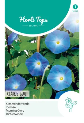 Produktbild von Trichterwinde Himmelblau | Blumensamen von Hortitops [MHD 07/2024]