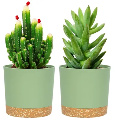 Imagen del producto de Juego de dos macetas, de 12,7 cm, color verde, con orificios de drenaje, para plantas de interior
