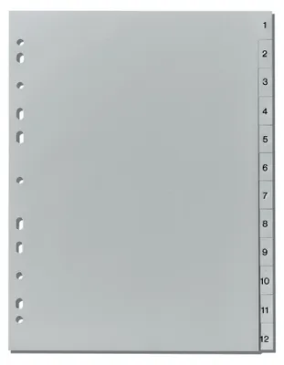 Image de Herlitz Ordnerregister A4 1-12 PP grau