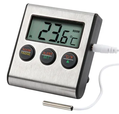 Image de Olympia 5963 Olympia Temperatursensor FTS 200             Protect/ProHome