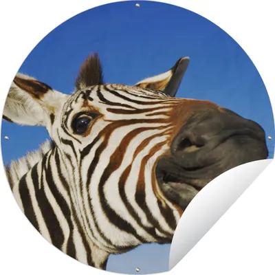Produktbild von MuchoWow® Gartenposter Outdoor-Poster Rund Zebra - Lustig - Kinder - Jungen - Mädchen Ø 90 cm Gartendeko Rundes Poster draußen