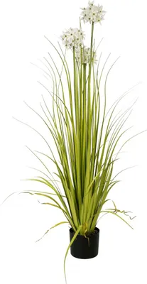 Obrázek produktu pro EUROPALMS Allium tráva, umělá rostlina, bílá, 120 cm (82600169)