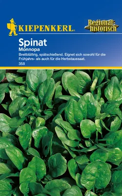 Produktbild von [STREICHUNG 2024] Spinat Monnopa | Spinatsamen von Kiepenkerl