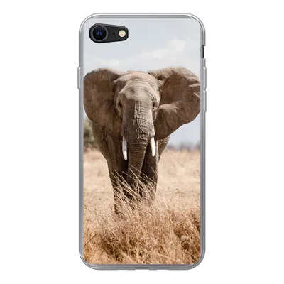Produktbild von MuchoWow® Handyhülle Schutzhülle Hülle für iPhone 8 Elefant - Natur - Tiere - Porträt Silikon Softcase Handy Hülle - Schutzhaube