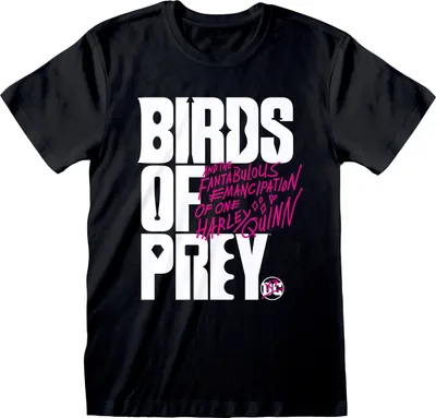 Produktbild von Birds Of Prey T-Shirt Logo XXL