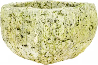 Produktbild von Qurico in Stone Washed Apfelgrün, Größe ca. 7-10cm | Paranussschale