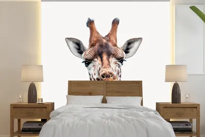 Produktbild von MuchoWow® Fototapete für Wohnzimmer oder Schlafzimmer Wandtapete Vinyl Motivtapete Jungen - Giraffe - Tiere - Kopf - Porträt - Kind - Mädchen - 240x240 cm - Kindertapete - Schlafzimmer-Tapete