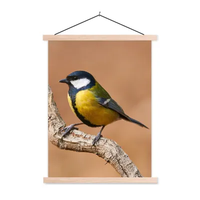 Produktbild von MuchoWow® Textilposter Vogel - Kohlmeise - Zweige 40x53 cm mit holzfarbenen Rahmen - Schlafzimmer