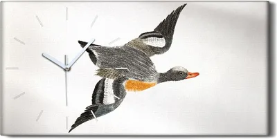 Produktbild von Wanduhr Uhr Wandbild Leinwand Geräuschlos 60x30 Zeichnung Tier Vogel Kunst - weiße Hände