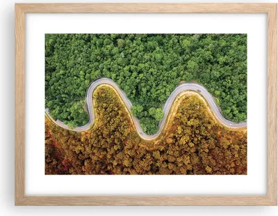 Produktbild von Gerahmtes Poster - Rahmen in heller Eiche - Luftaufnahmen Weg Wald - 40x30 cm - Wand Bild - Wanddeko - Wandbilder - Kunstposter - Wandposter - Bilderrahmen - Bilder - Kunstdruck - P2NAA40x30-4659
