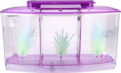Immagine prodotto di Acquario, LED, acrilico, in tre parti, box di allevamento e isolamento per piccoli pesci (viola)