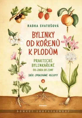 Image de Bylinky od kořenů k plodům