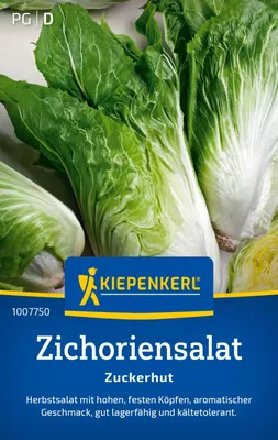 Produktbild von Kiepenkerl Zichoriensalatsamen Zuckerhut Cichorium intybus 200 Pflanzen