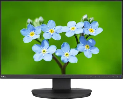 Image de NEC Display MultiSync EA241F-BK - Écran LED
