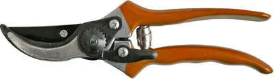 Image de Sécateur Strend Pro P0807, de jardin, pour raisins et branches, pour viticulteurs, 200 mm
