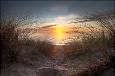 Produktbild von Wallario Poster - Sonnenuntergang am Strand, Kunstdruck Größe: 61 x 91,50 cm