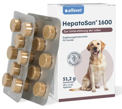 Leber-Unterstützung für Hunde, 32 Tabletten, HepatoSan 1600