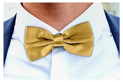 Produktbild von Herrenfliege mit Einstecktuch – elegantes Set für Hochzeit, Business und Feierlichkeiten – vorgebunden und verstellbar – stilvolles Herrenaccessoire