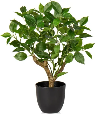 Image de Briful Plante artificielle Ficus Pot Noir 43CM - Plante Déco Verte