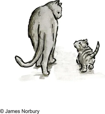 Zdjęcie produktu dla Die Katze, die nach Weisheit sucht