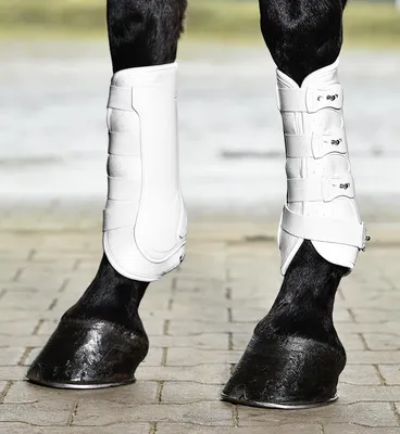 Produktbild von Busse Gamaschen DRESSAGE-PRO weiß Dressurgamasche stabile Hartschale, Busse_17_Groessen:L