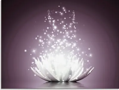 Produktbild von Vadim Georgiev: Magie der Lotus-Blume violett - Glasbild, Größe:45x60 cm / Glasbild