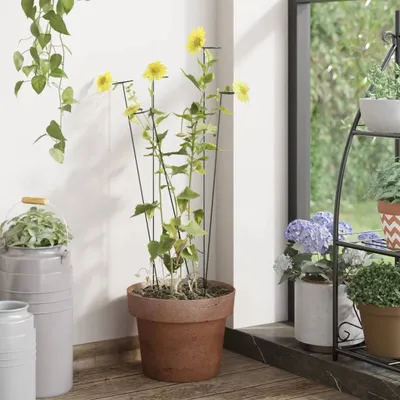 Produktbild von vidaXL Pflanzenstützen 20 Stk. Dunkelgrün 40 cm Stahl