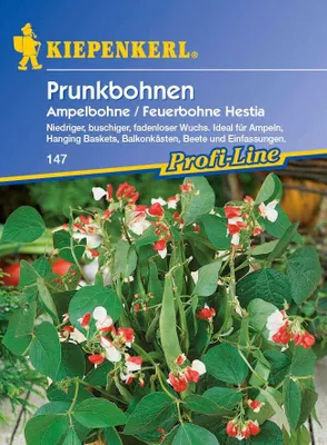 Artikelbild 2 von 'Prunkbohne Hestia' aus der Kategorie Prunkbohnensamen