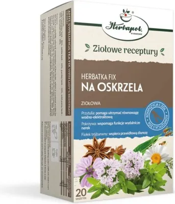 Produktbild von Herbapol Bronchitis Fix Kräutertee 20 Beutel.