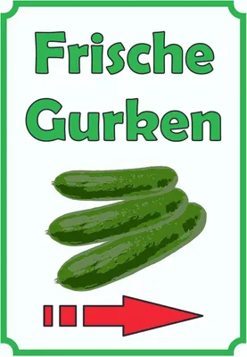 Produktbild von Frische Gurken Schild Hochkant mit Pfeil rechts A1 Rückseite selbstklebend