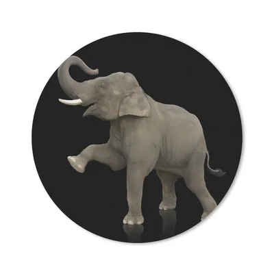 Produktbild von MuchoWow® Mauspad Mousepad Elefant - Tiere - Schwarz - Porträt 40x40 cm - Mousepads - Maus Mat - Pad - Mausunterlage - Schreibtisch Accessoires