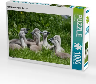 Produktbild von CALVENDO Puzzle irgendetwas liegt in der Luft | 1000 Teile Lege-Größe 64x48cm Foto-Puzzle für glückliche Stunden